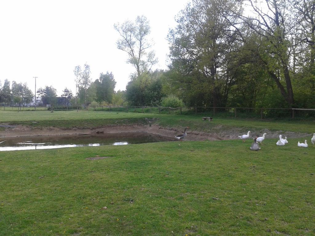 Veselí nad Lužnicí Chata Zahrada Madeta מראה חיצוני תמונה