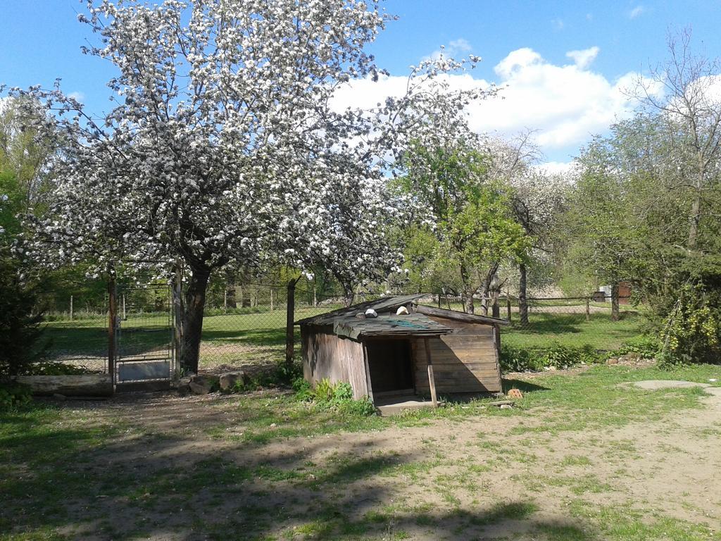 Veselí nad Lužnicí Chata Zahrada Madeta מראה חיצוני תמונה
