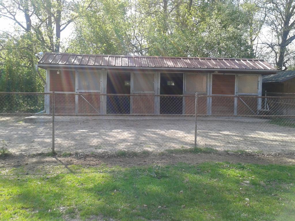 Veselí nad Lužnicí Chata Zahrada Madeta מראה חיצוני תמונה