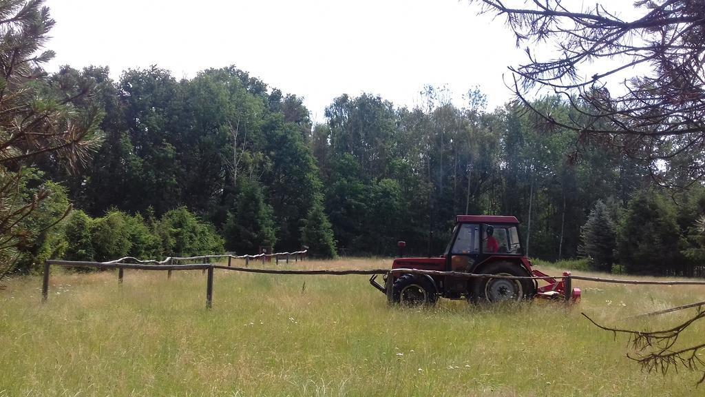 Veselí nad Lužnicí Chata Zahrada Madeta מראה חיצוני תמונה
