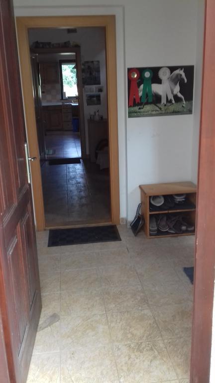 Veselí nad Lužnicí Chata Zahrada Madeta מראה חיצוני תמונה