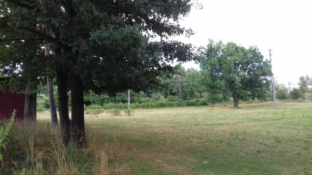 Veselí nad Lužnicí Chata Zahrada Madeta מראה חיצוני תמונה