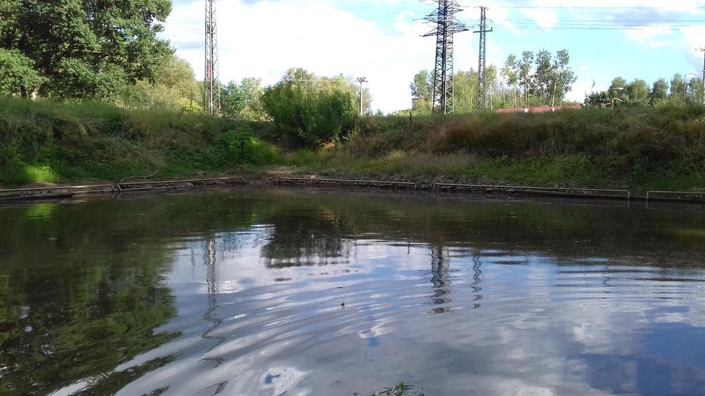Veselí nad Lužnicí Chata Zahrada Madeta מראה חיצוני תמונה