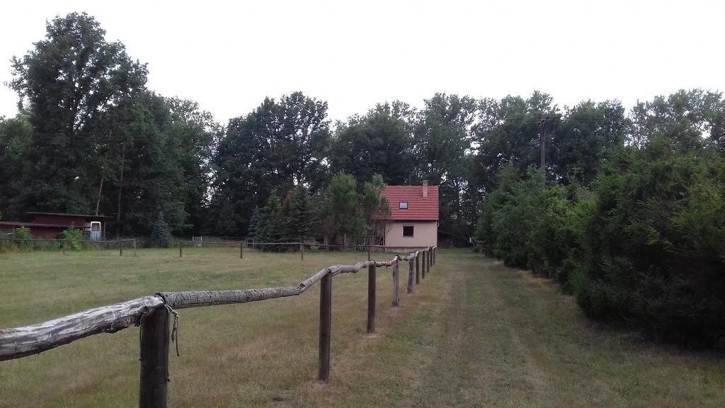 Veselí nad Lužnicí Chata Zahrada Madeta מראה חיצוני תמונה